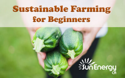 How to Start a Farm for Sustainability